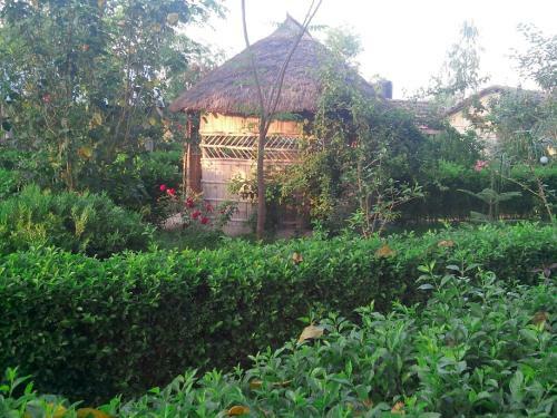 Hotel Bardia Kingfisher Resort