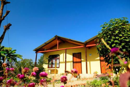 Lodge Nature Safari Resort