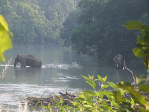Mango Tree Lodge