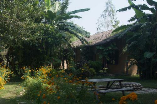 Hotel Wild Trak Adventure