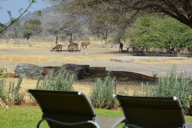 Hotel Gabus Game Ranch