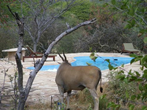 Ohange Namibia Lodge