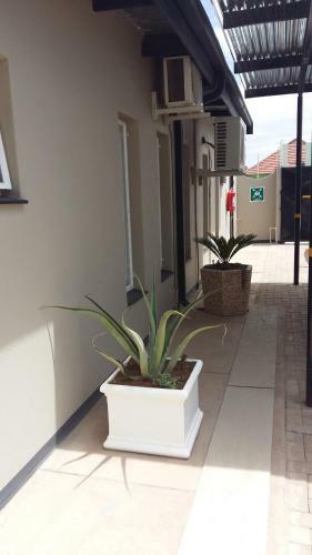 Apartamento Aspasia Agency