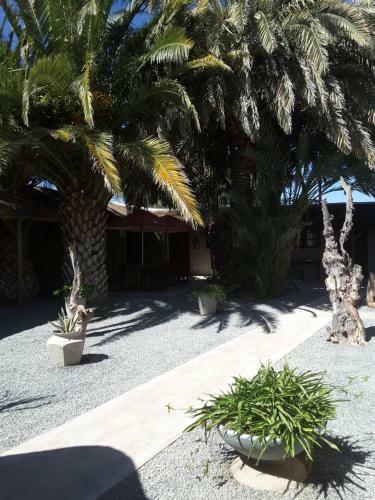 Hostal Melissa's Guest House