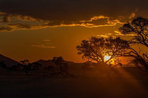 Greenfire Desert Lodge