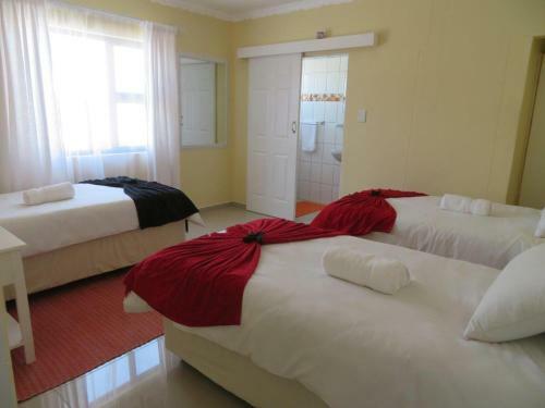 Hostal Timo's Guesthouse Accommodation
