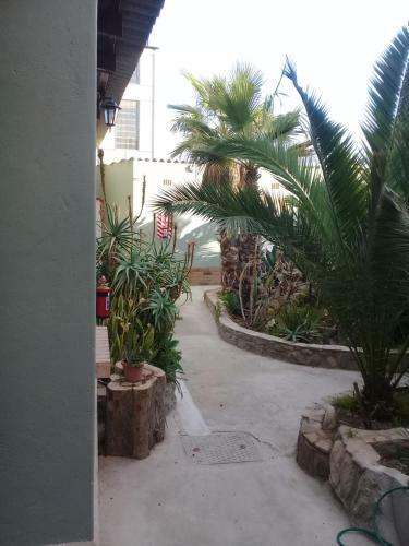 Hostal Tranquility Guest House