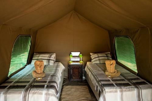 Apartamento Ripley's Camp