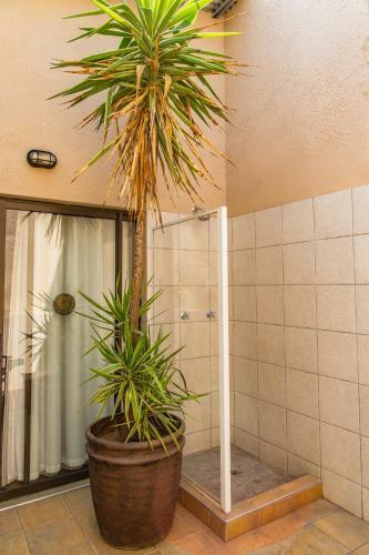 Albergue Chameleon Backpackers & Guesthouse