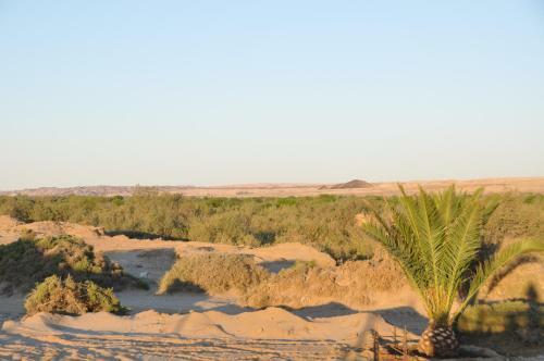 Apartamento Namib River Camp #5