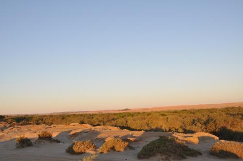 Apartamento Namib River Camp #5