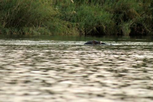 Camp Hogo Kavango