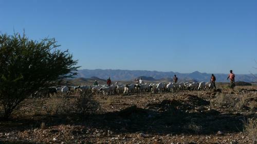Agroturismo Rooiklip Guestfarm