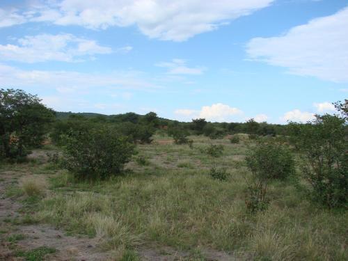 Onduri Lodge
