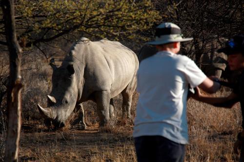 Lodge Waterberg Wilderness