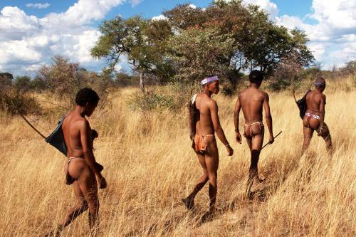 Tucsin Tsumkwe Lodge