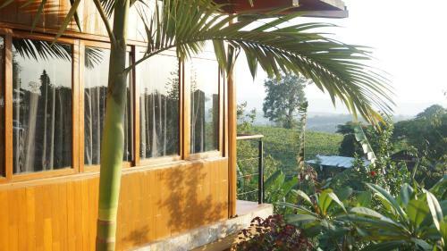 Hotel Monte Divino Lodge