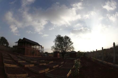 Agroturismo Pindaya Farm House