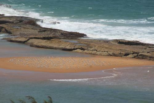 Zona Braza Beach Lodge