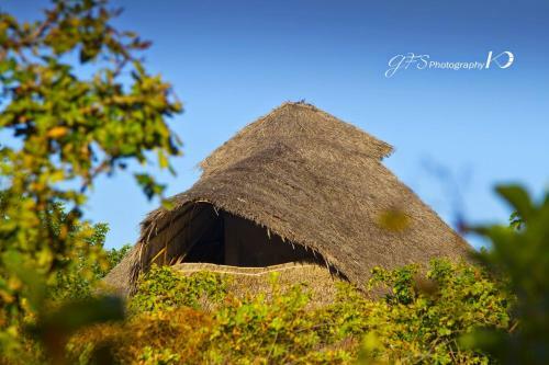 Bed & Breakfast Il Pirata