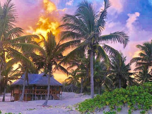Pura Vida Lodge