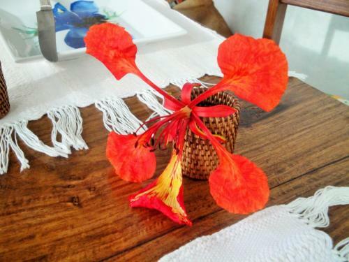 Jardim Dos Alo�s Boutique B&B