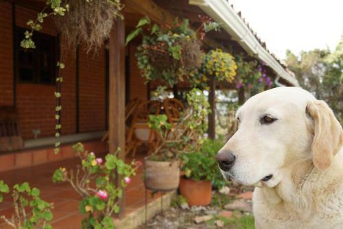 Hostal Hospedaje Rural Misia Emilia