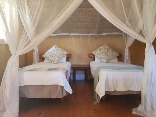 Turtle Cove Lodge