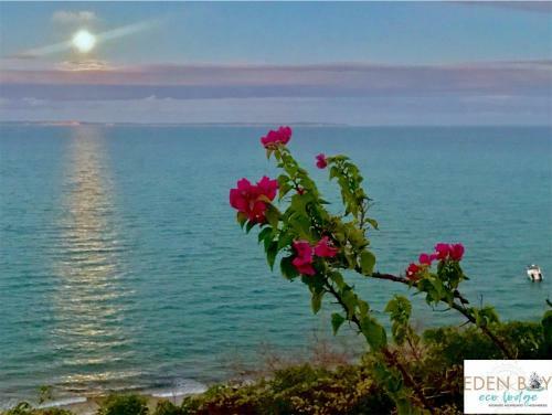Eden Bay Eco Lodge