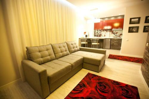 Apartment Miron Costin