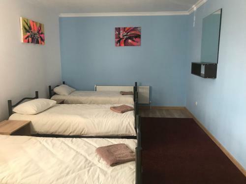 Hotel Hostel Durlesti