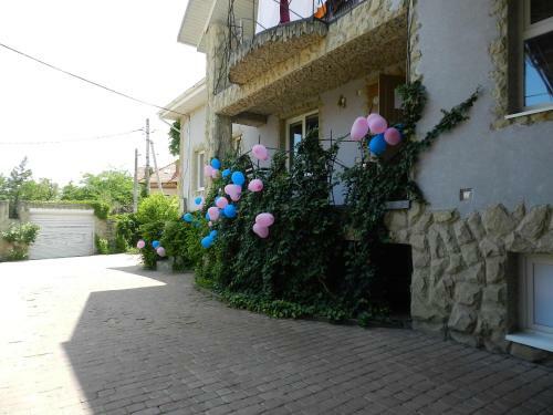 Hostal The Green Guest House