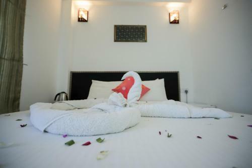 Hostal Vilu Rest