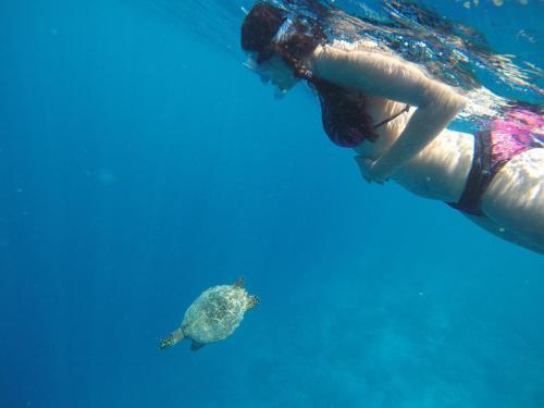 Hostal Rasdhoo Coralville