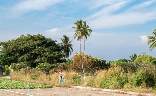Hostal Olive Goidhoo