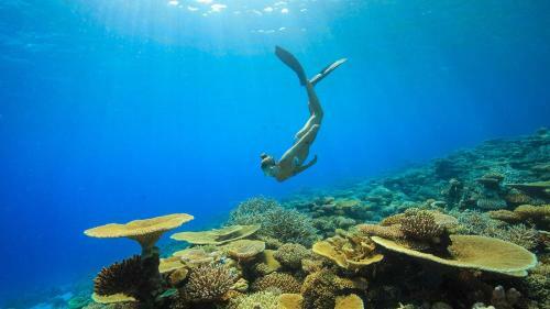 Hostal Equa Reef Maldives