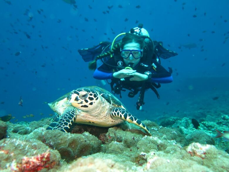Hostal Vaali Beach Lodge Maldives