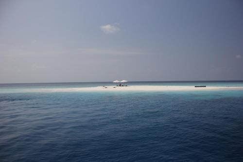 Hostal Beachwood Hotel And Spa At Maafushi