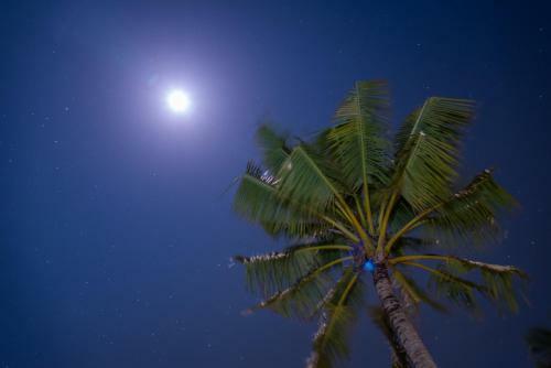 Hotel Hideaway Beach Resort & Spa