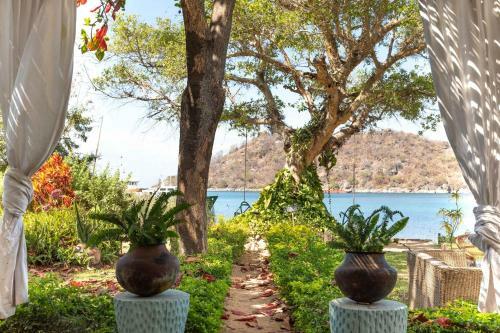 Hostal Monkey Bay Beach Lodge