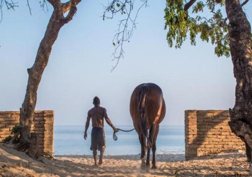 Lodge Kande Horse