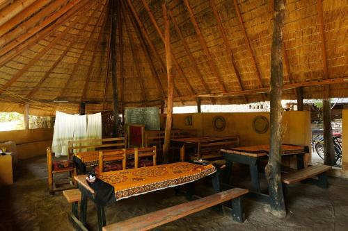 Mufasa Eco Lodge