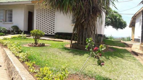 Mzuzu Lodge