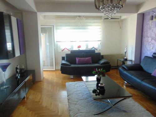 Nj Apartment