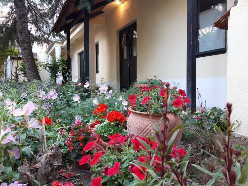 Villa Vila Zara