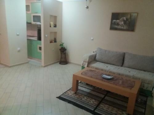 Central Apartment