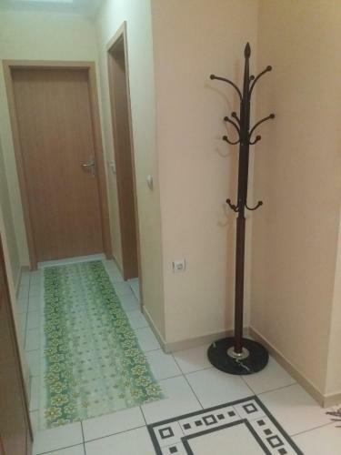 Central Apartment