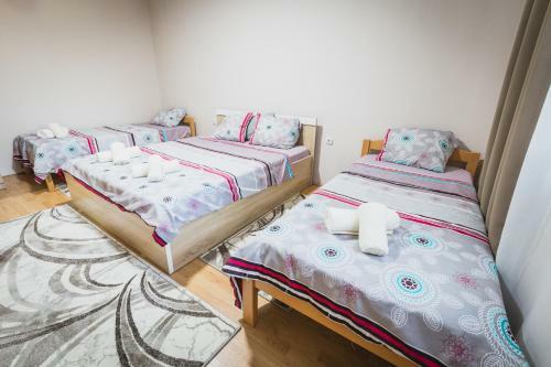 Axios Apartment