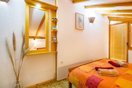 Hostal Paradise Nest