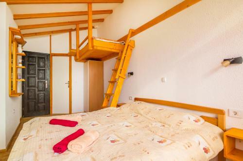 Hostal Paradise Nest